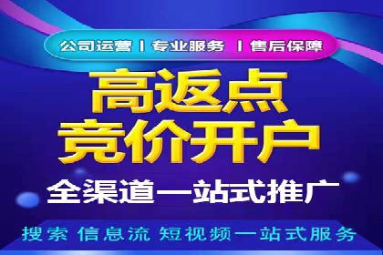 案例研究：关键词推广费用与ROI的关系